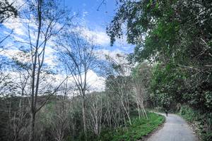 BIB: 
                            <button type="button" onclick="openModal(21898126)" class="btn btn-primary btn-sm float-right btn-popup" data-toggle="modal" data-target=".modal-high-quality">
                        <i class="fas fa-shopping-cart"></i> Add to Cart
                    </button>
                                            <button type="button" onclick="isThisMe(21898126, true)" class="btn btn-success btn-sm float-right btn-popup btn-isme hidden" data-toggle="tooltip" data-placement="bottom" title="นี่คือรูปของคุณใช่ไหม คลิกที่นี่เพื่อเอาเข้าอัลบั้ม">
                        <i class="fas fa-plus"></i> Add to album
                    </button>
                    <button type="button" onclick="isThisMe(21898126, false)" class="btn btn-warning btn-sm float-right btn-popup btn-isnotme hidden">
                        <i class="fas fa-ban"></i> Remove from album
                    </button>